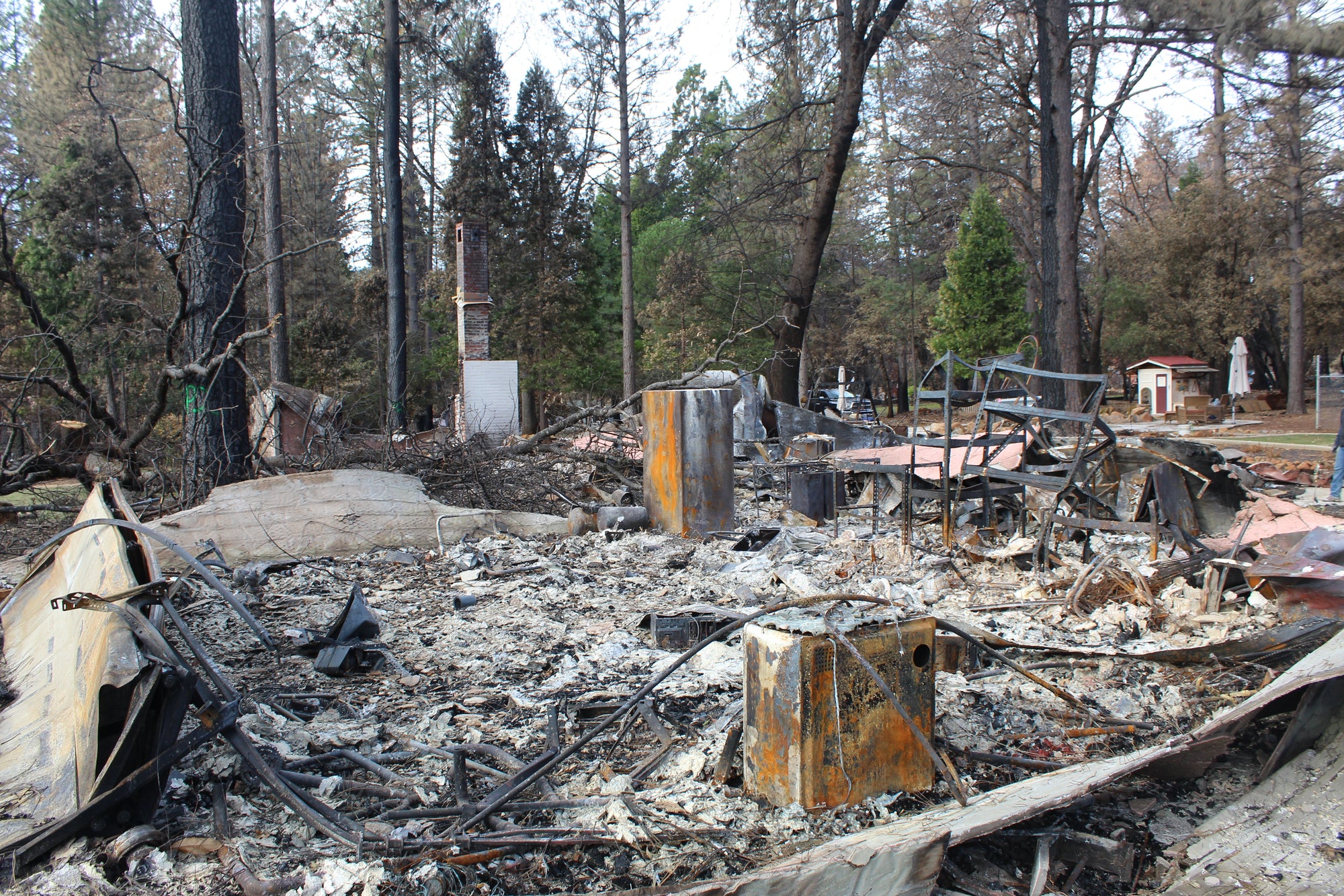 Fire Rated Safes: Tips For Protecting Valuables from Wildfires